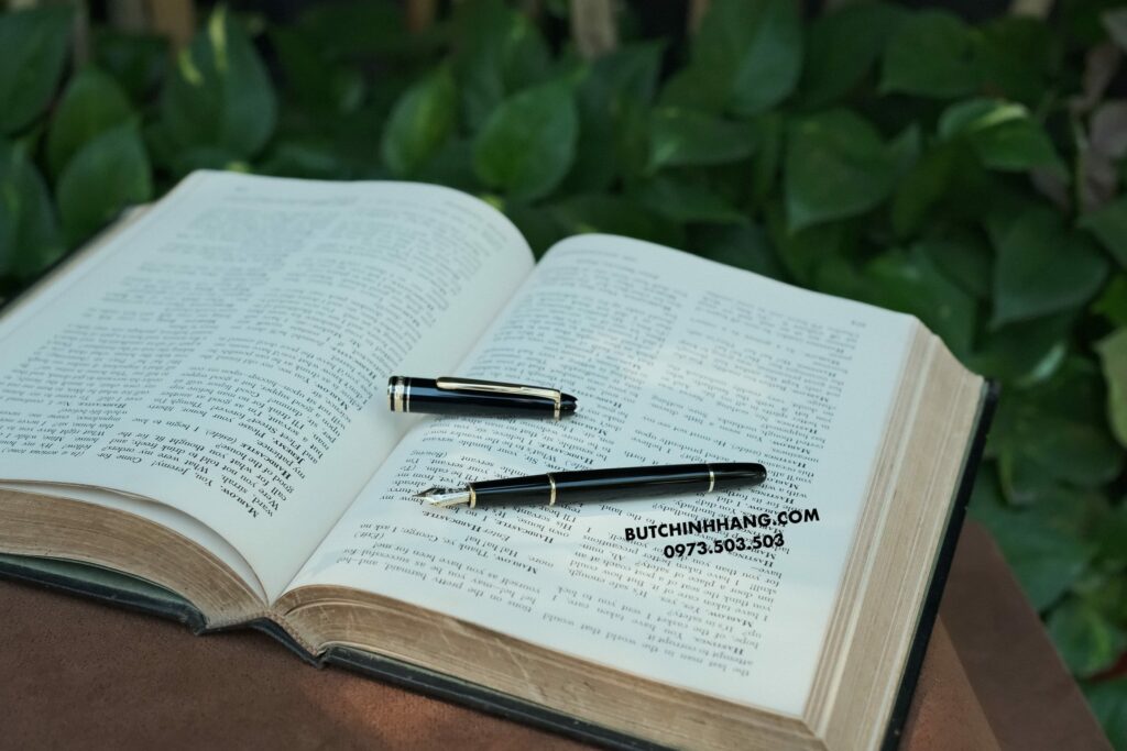 Bút Montblanc Meisterstuck 144 Classique Fountain Pen - but montblanc meisterstuck 144 classique fountain pen 3