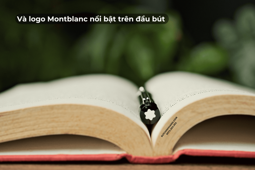 Special Edition - Phiên bản bút tôn vinh nhà soạn nhạc, nghệ sĩ dương cầm nổi tiếng người Đức Johannes Brahms - special edition phien ban but ton vinh nha soan nhac nghe si duong cam noi tieng nguoi duc johannes brahms