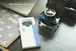 Mực ống và mực bình, bạn sẽ chọn loại mực nào? - 1 6
